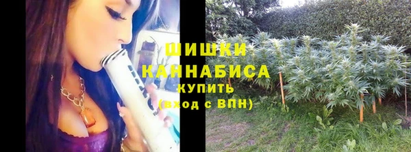 Альфа ПВП Богородицк
