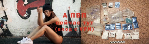 каннабис Богданович
